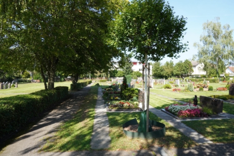 Friedhof Jagstfeld Bad Friedrichshall - Bestattungen Appel